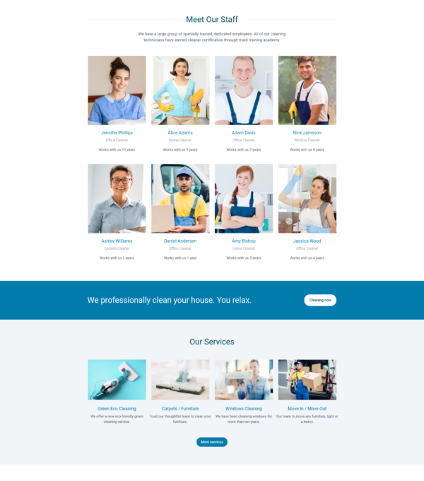 Dribo Cleaning Company Template kit for Elementor - Image 26