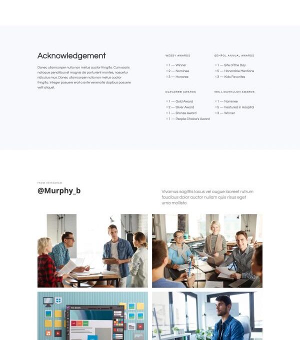 Nivos Software Company Template kit - Image 11