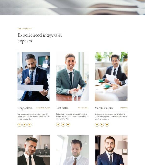 Defacto Lawyer Law Firm Elementor Template kit - Image 12