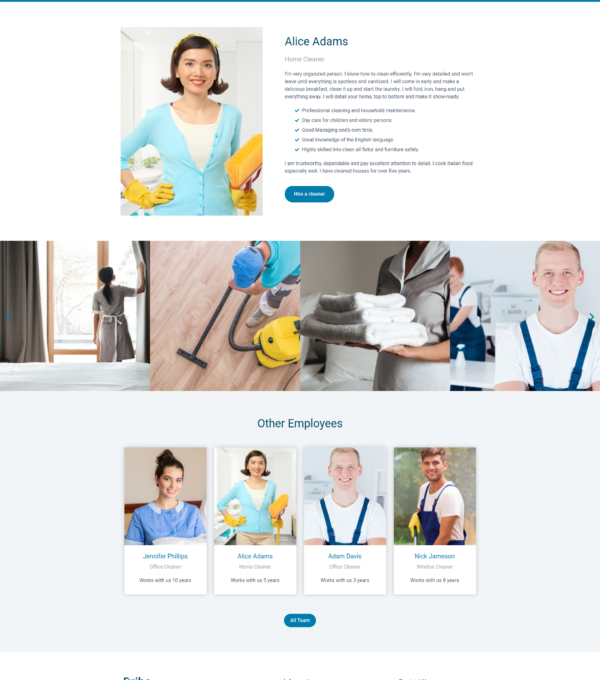 Dribo Cleaning Company Template kit for Elementor - Image 25