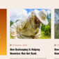 Modhu Beekeeping Honey Elementor Template kit - Image 6