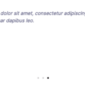 Raint Digital Agency Elementor Template kit - Image 23