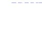Ovolio Creative Elementor Template kit - Image 13