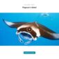 Trawell Travel Blog Elementor Template kit - Image 17