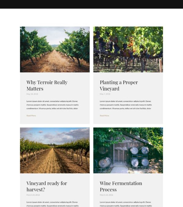 Villenoir Wine Template kit - Image 17