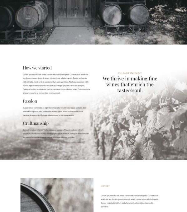 Villenoir Wine Template kit - Image 18