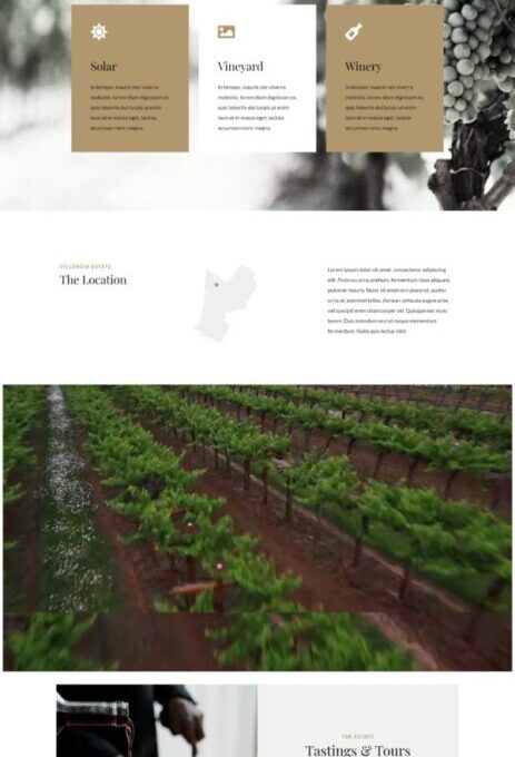 Villenoir Wine Template kit - Image 15