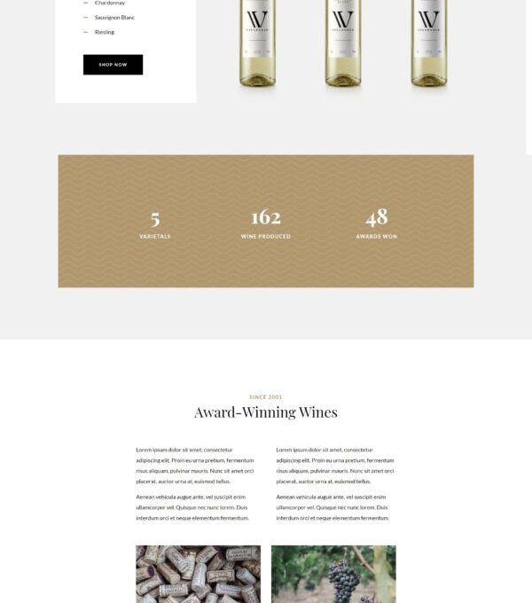 Villenoir Wine Template kit - Image 11