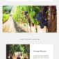 Saras Wine Template kit - Image 4