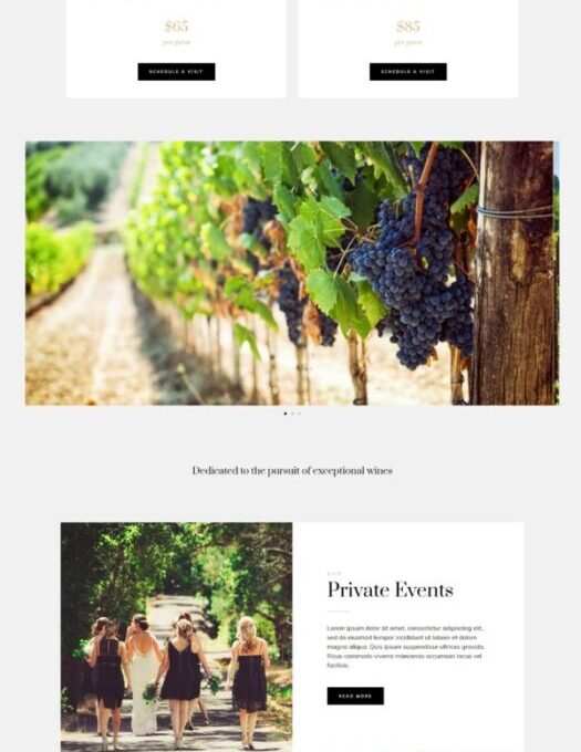 Saras Wine Template kit - Image 4